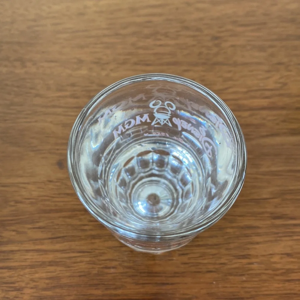 1989 Disney MGM Studios Shot Glass